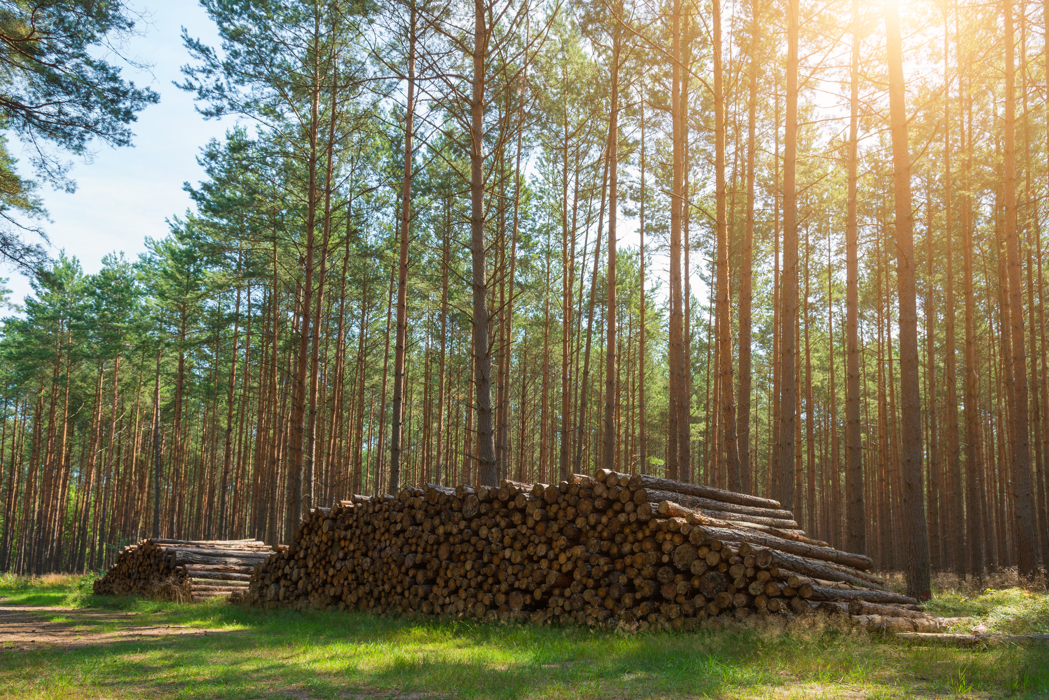 PineBridge holds interim secondaries fund close | Secondaries Investor