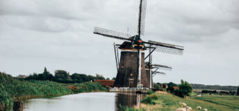 Dutch farmland