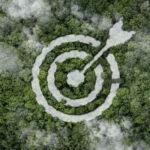 Impact-focused CVs require added layer of diligence โ NPM Summit ESG bullseye