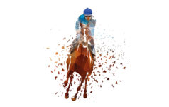 Polygonal illustration of a jockey on a racehorse