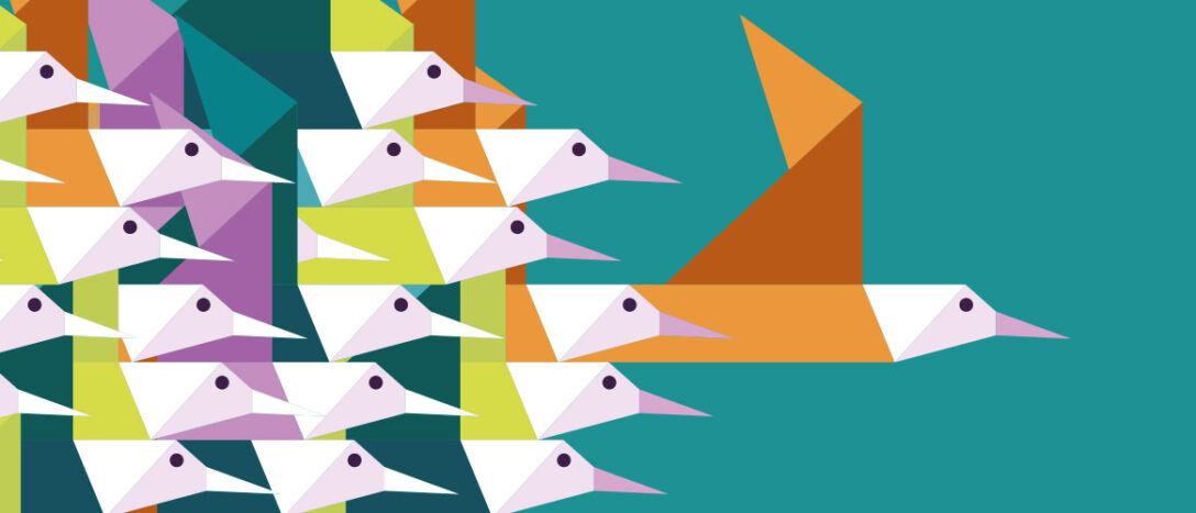 Illustration of a flock of birds, with one flying out in front of the rest