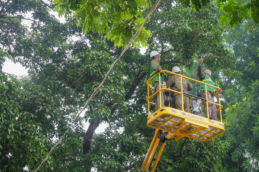 Real estate, agri secondaries rose in 2015